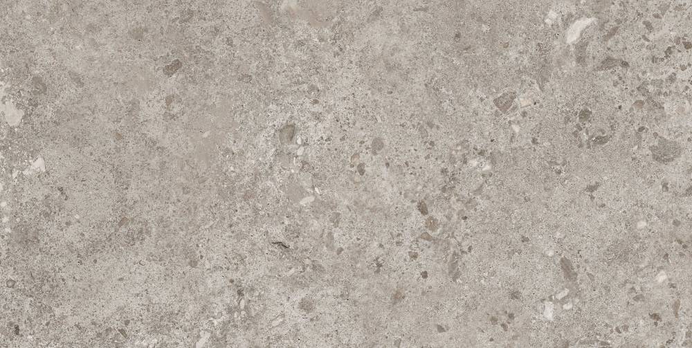 BIERZO GRIS SEDA  60X120 арт. 58365