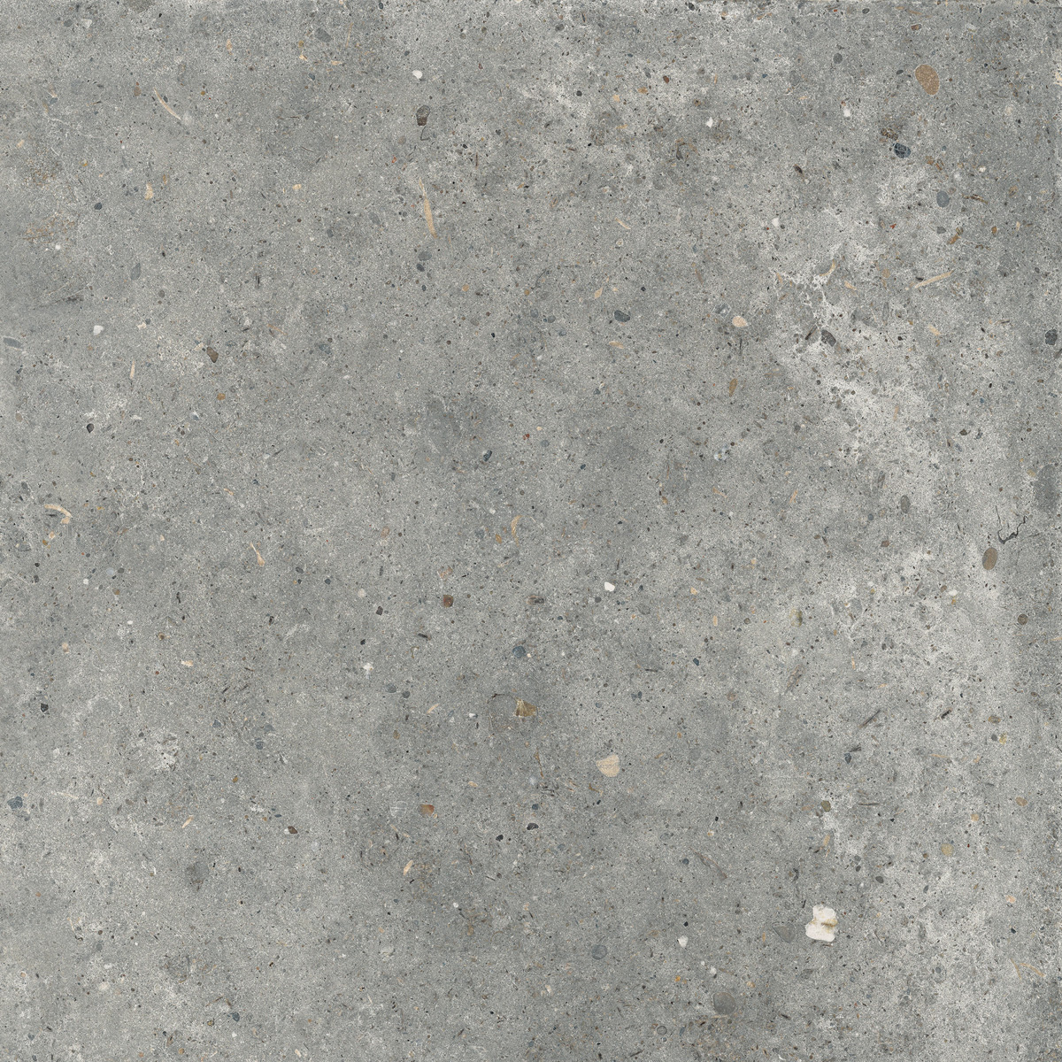 Керамогранит PTR.STONE PIRET N.GRET Y NAT RET 60X60 арт. 209157