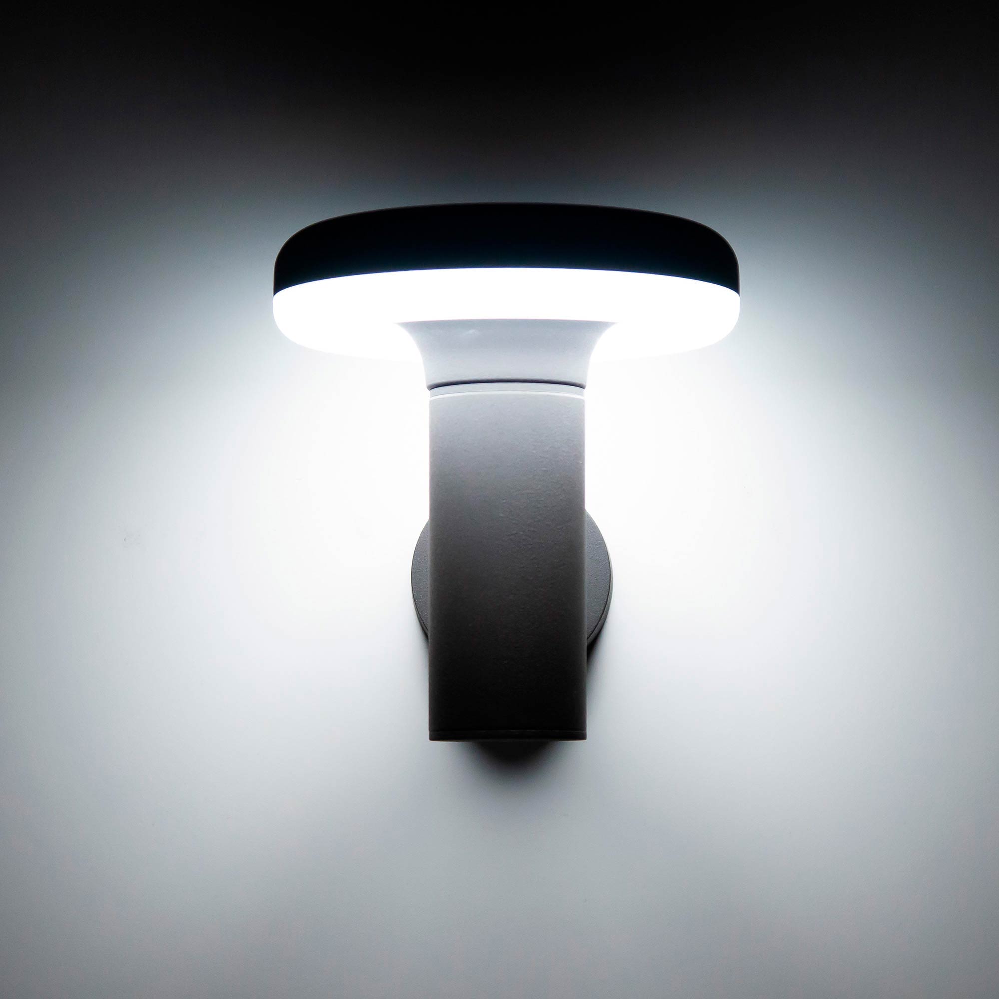 Citilux GARDA CLU01W LED Уличный настенный светильник Графит арт. 88388