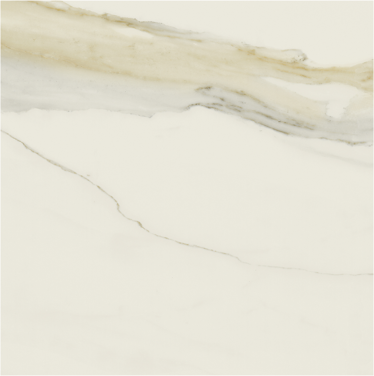 Керамогранит I CLASSICI CAL.GOLD GLOSSY 80X80 RETT арт. 84813