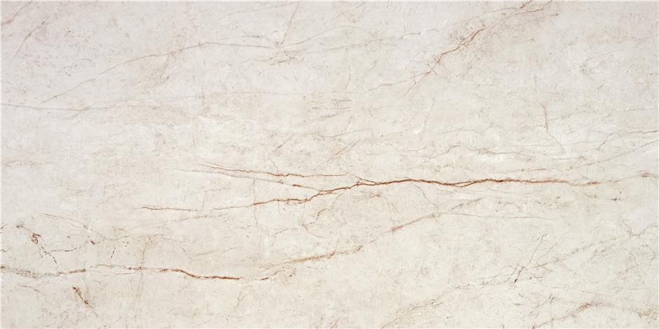RAIN FOREST WHITE ( PULIDO) 59X119 RECT. арт. 58270
