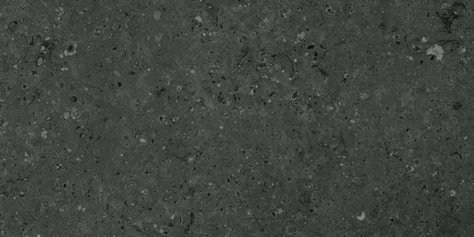 Плитка Гранитея G215-Arkaim Black 600х1200 MR (2,16 кв.м.) арт. 123291