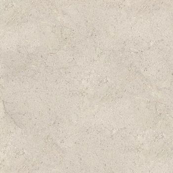 DORCIA BONE L 120X120(A) арт. 124096