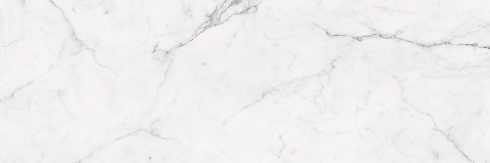 ESTATUARIO POLISHED 100X300X5,6 арт. 58172