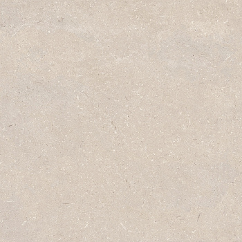 CORAL CALIZA L 120X120(A) арт. 124910