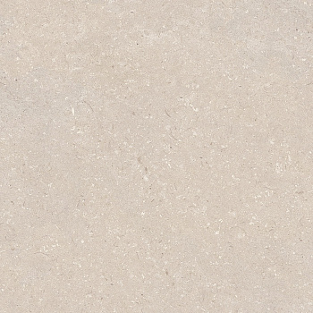 CORAL CALIZA L 80X80(A) арт. 124911