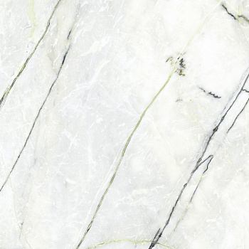 CALACATTA GREEN POL.PV6 120X120(A) арт. 203023