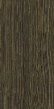 Серфейс Эрамоза 60X120 Lux арт. 63701
