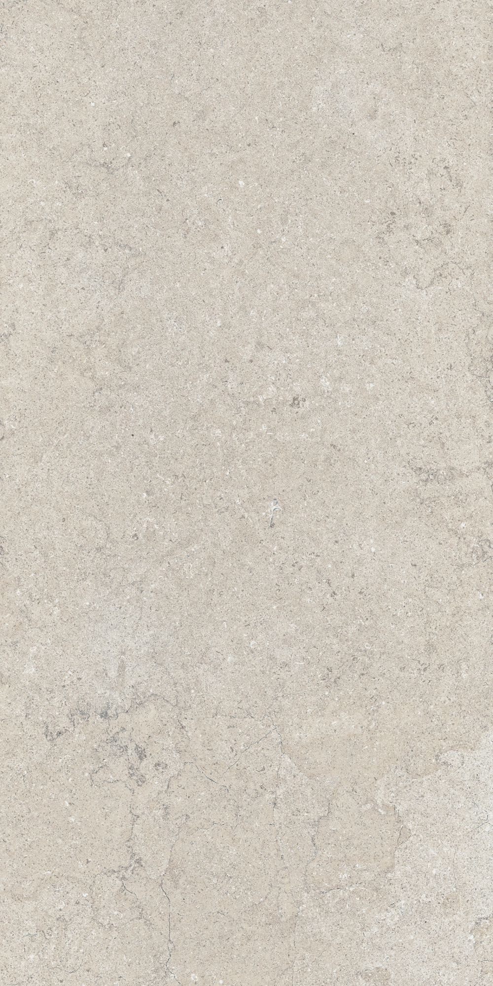Дискавер Уайт 60X120 Рет арт. 65055