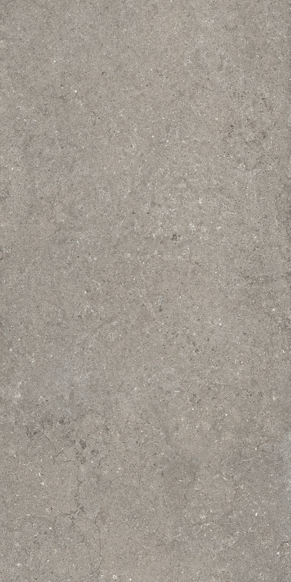 Дискавер Грэй 60X120 Рет арт. 65056