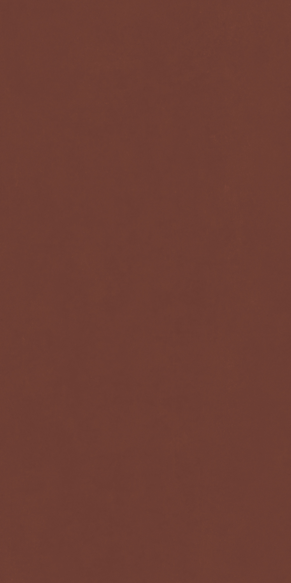 Серфейс Эксклюзив Рэд 80X160 Рет арт. 65328