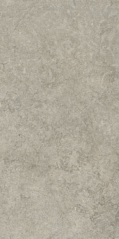 Саленто Грэй 60X120 Рет арт. 77698