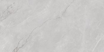 Керамогранит ASTONIA Silver Glossy Silver Line 60x120 арт. 71797