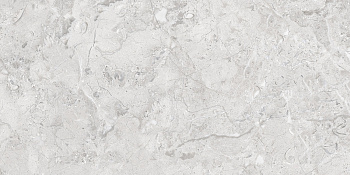 Керамогранит ELEGANCE Grey Glossy Silver Line 60x120 арт. 71799