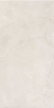 ANIMA EVER Royal Onyx Matt R10B 60X120 арт. 74136