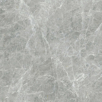 Coliseum Canova Керамогранит Grey 60x60 натуральный арт. 70087