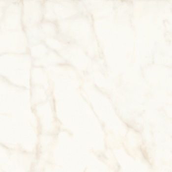 Marvel Calacatta Delicato 60x60 Silk арт. 79162