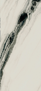 PAN WH6 260 LP арт. 79719