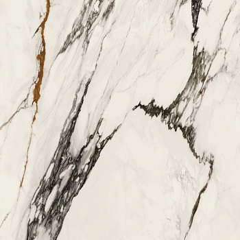 PAONAZZO BIONDO SILK PV6 120X120(A) арт. 80370