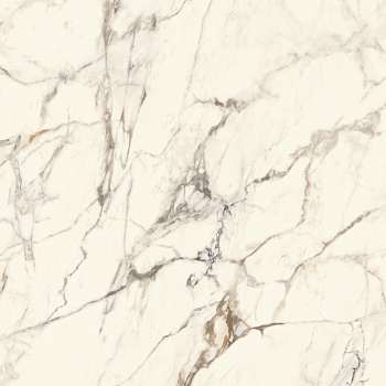 CALACATTA GOLD SILK PV6 120X120(A) арт. 80372