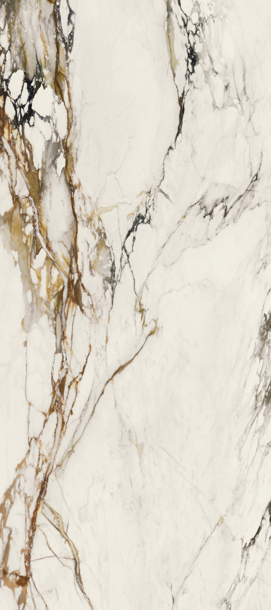 PAONAZZO BIONDO POL. 120X270(6)(A) арт. 80607