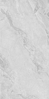 230101 Light Grey Polished 60x120 арт. 49296