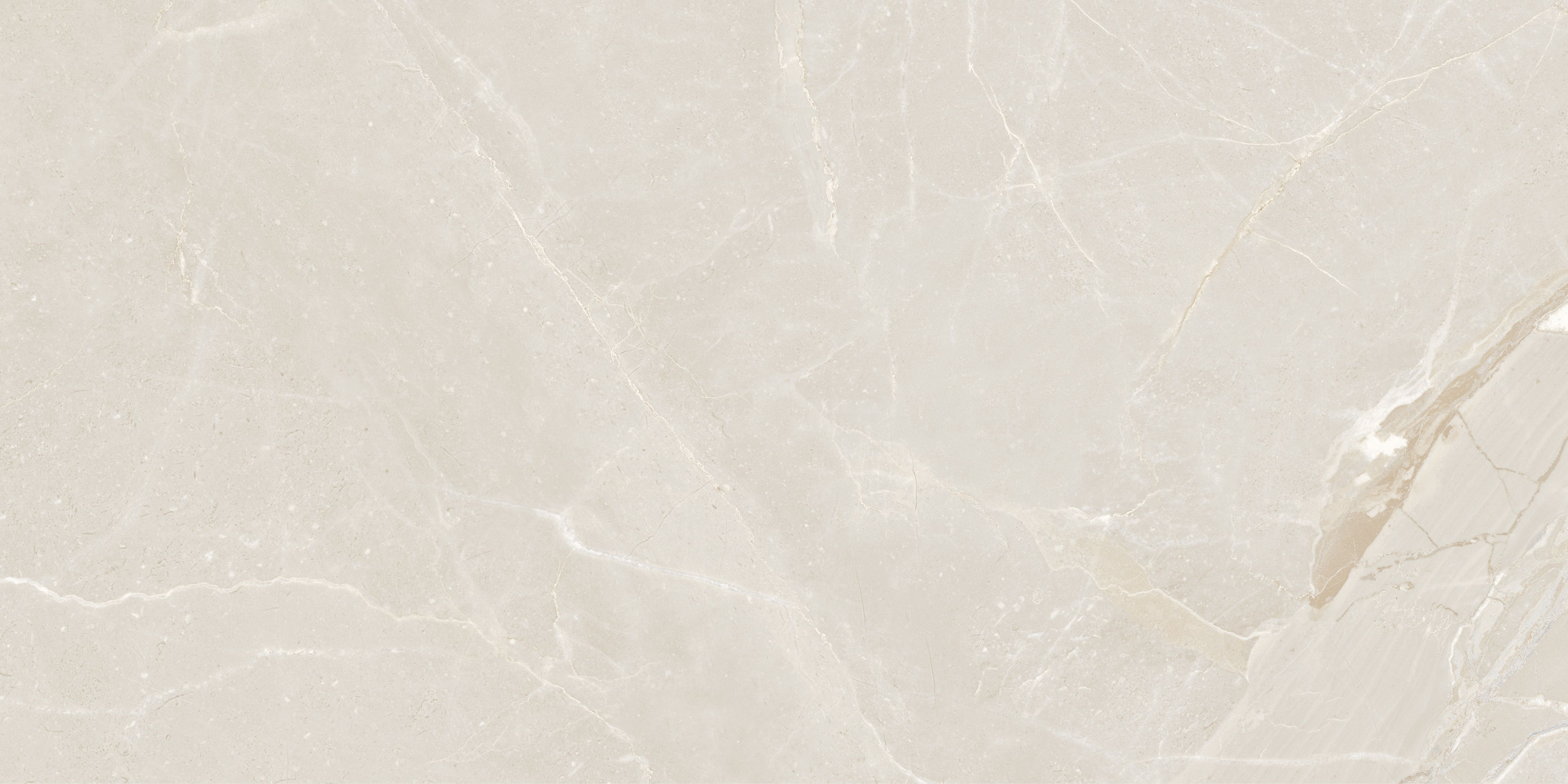 Colemanite Stone Light Rect 60x120 арт. 50114