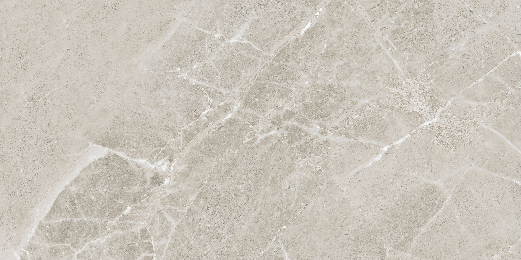 Colemanite Stone Grey Rect 60x120 арт. 50113