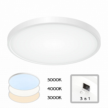 Citilux Бейсик CL738320V Светильник накладной Белый арт. 88458