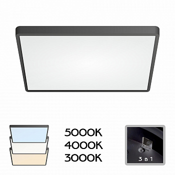 Citilux Бейсик CL738K501V Светильник накладной Чёрный арт. 88542