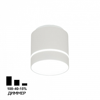 Citilux Борн CL745010N LED Светильник накладной Белый арт. 88669