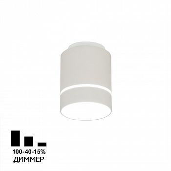 Citilux Борн CL745020N LED Светильник накладной Белый арт. 88671