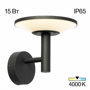 Citilux Dorn CLU05W LED Уличный настенный светильник Графит арт. 89160