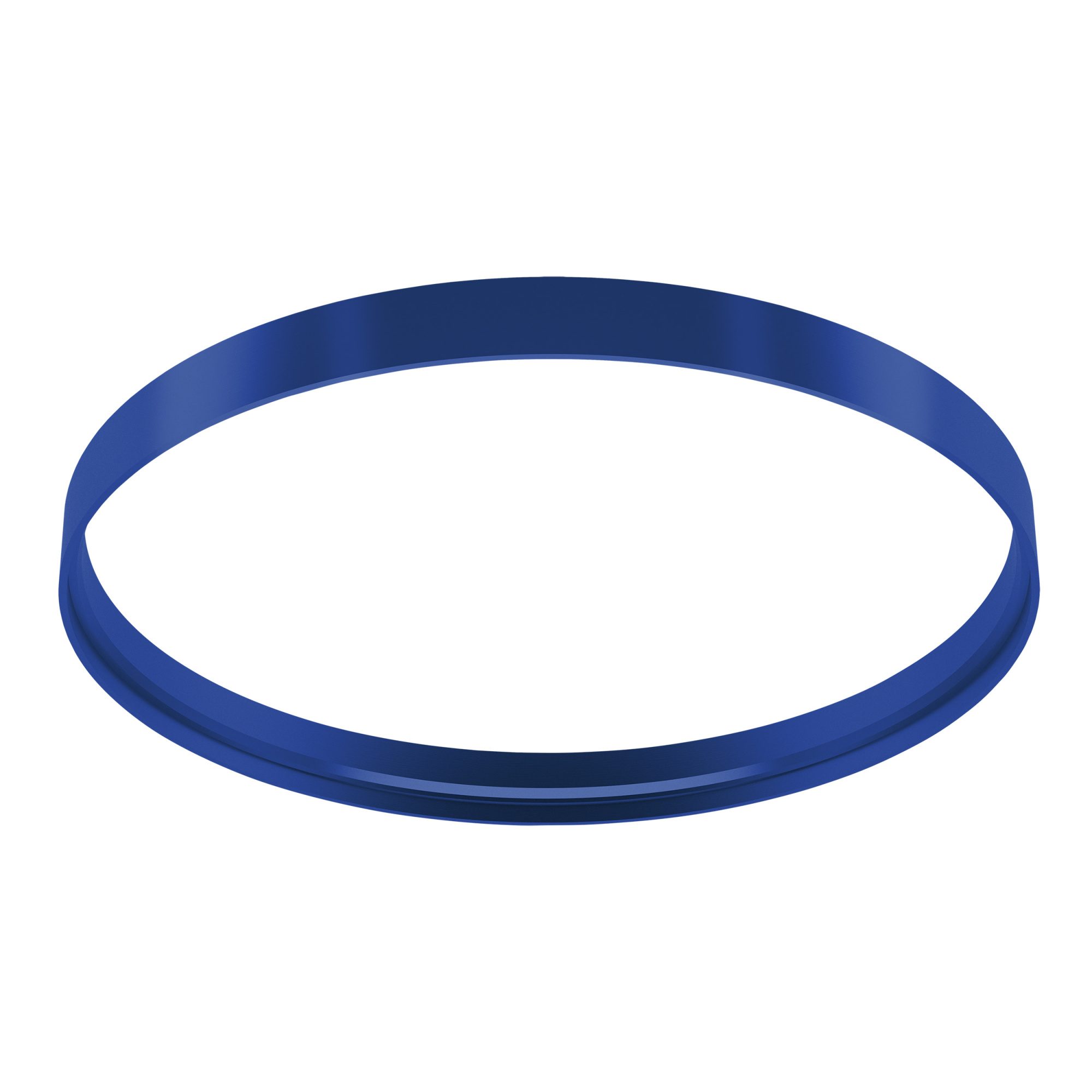 P53R6 RING.53 Синий арт. 161498