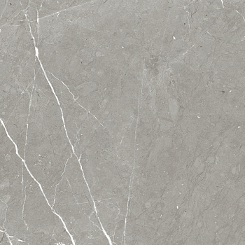 Керамогранит RHAPSODY ALLURE LEV RET 60X60 арт. 84532