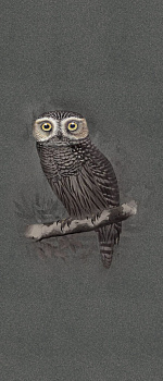Керамогранит MOOOI NESTING ROOM SPEC.EDIT. HYPNOT.OWL  NAT R120X280 арт. 87589