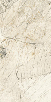 PAT WH6 12 RM 60x120 арт. 205678