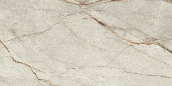 IMOLA The Room Керамогранит GRE RO6 12 RM GREY ROOTS 60x120 натуральный арт. 209208