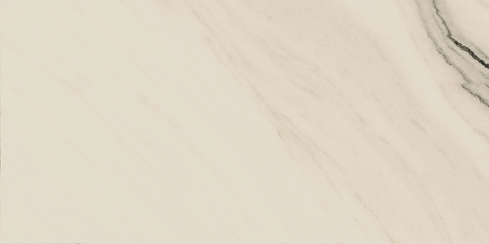 IMOLA The Room Керамогранит PAN WH6 12 RM PANDA WHITE 60x120 натуральный арт. 209215