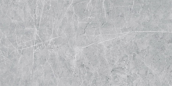 VS02 60x120x10 Полир. (Керамический гранит) Grey арт. 201510