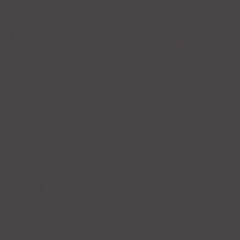 RW034 60x60 Непол.Рект. (Керамический гранит) арт. 201581