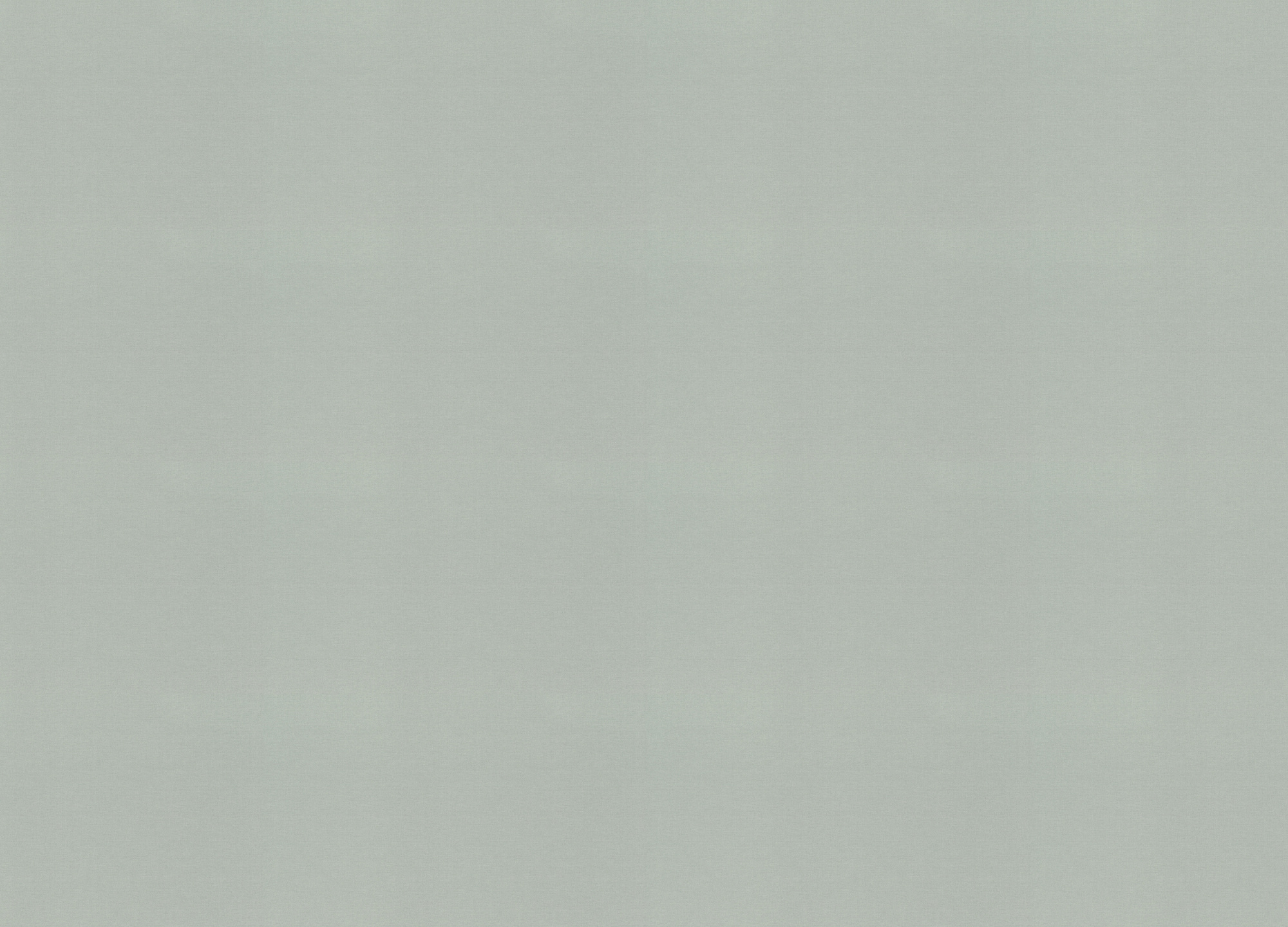 971460 Обои Rasch (1*6) 10,00x1,06 винил на флизелине арт. 111699