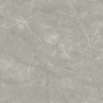 Wolf Grey Керамогранит 80х80 Сатинированный арт. 20630