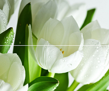 Arco Verde Tulipan Панно (из 2-х пл.) 50x60 арт. 22184
