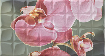 Dec. Orchid B Rosa RSA Декор 31,6x59,34 арт. 22348