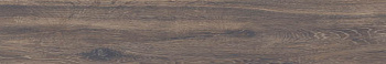 BG 06 19,4x120 неполир арт. 23056