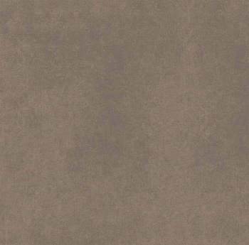 CA04 60x60x10 Непол.Рект. (Керамический гранит) арт. 115546