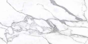 STATUARIO FANTASTICO 60*120*0,86 (КГ) 1,44м(2шт) арт. 29328