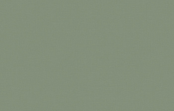 ARTS17 005/2 Обои Artsimple (1*6) 10,05x1,00 флизелин арт. 111008