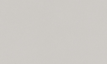 A100311 Обои ARTSIMPLE (1*6) 10,00x1,06 винил на флизелине арт. 111377